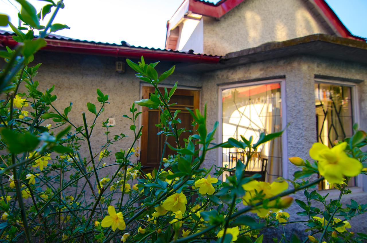Open View Estate Villa Ranikhet Ngoại thất bức ảnh
